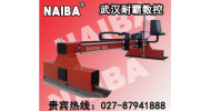 大龍門式數(shù)控火焰/等離子切割機